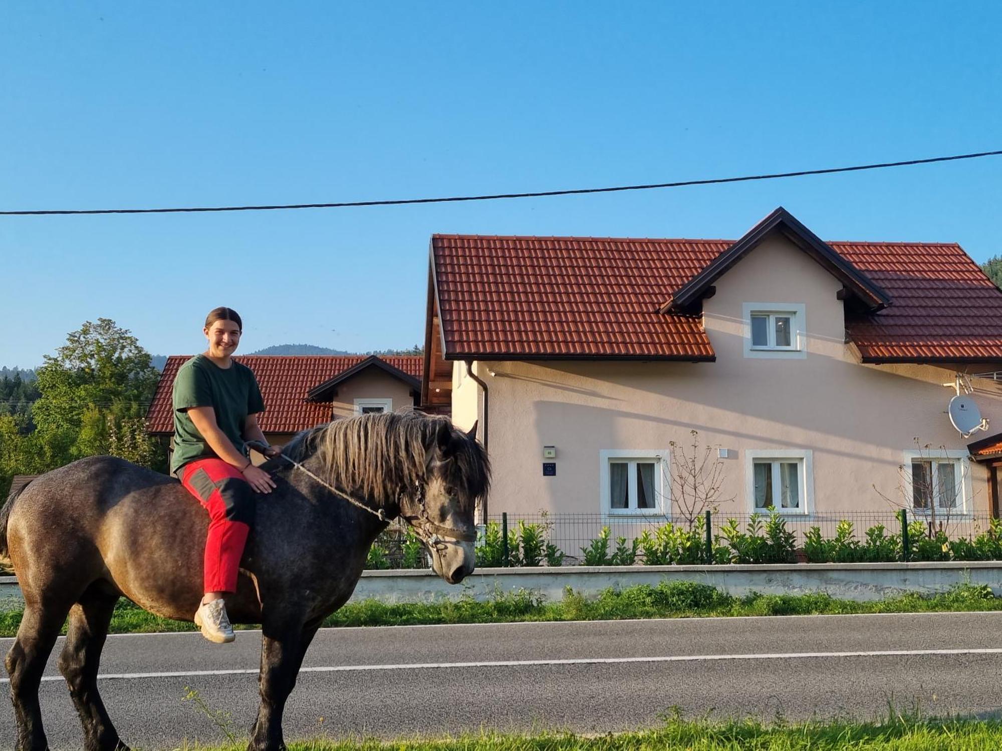 Villa Lady Di Plitvice Vrhovine Екстериор снимка