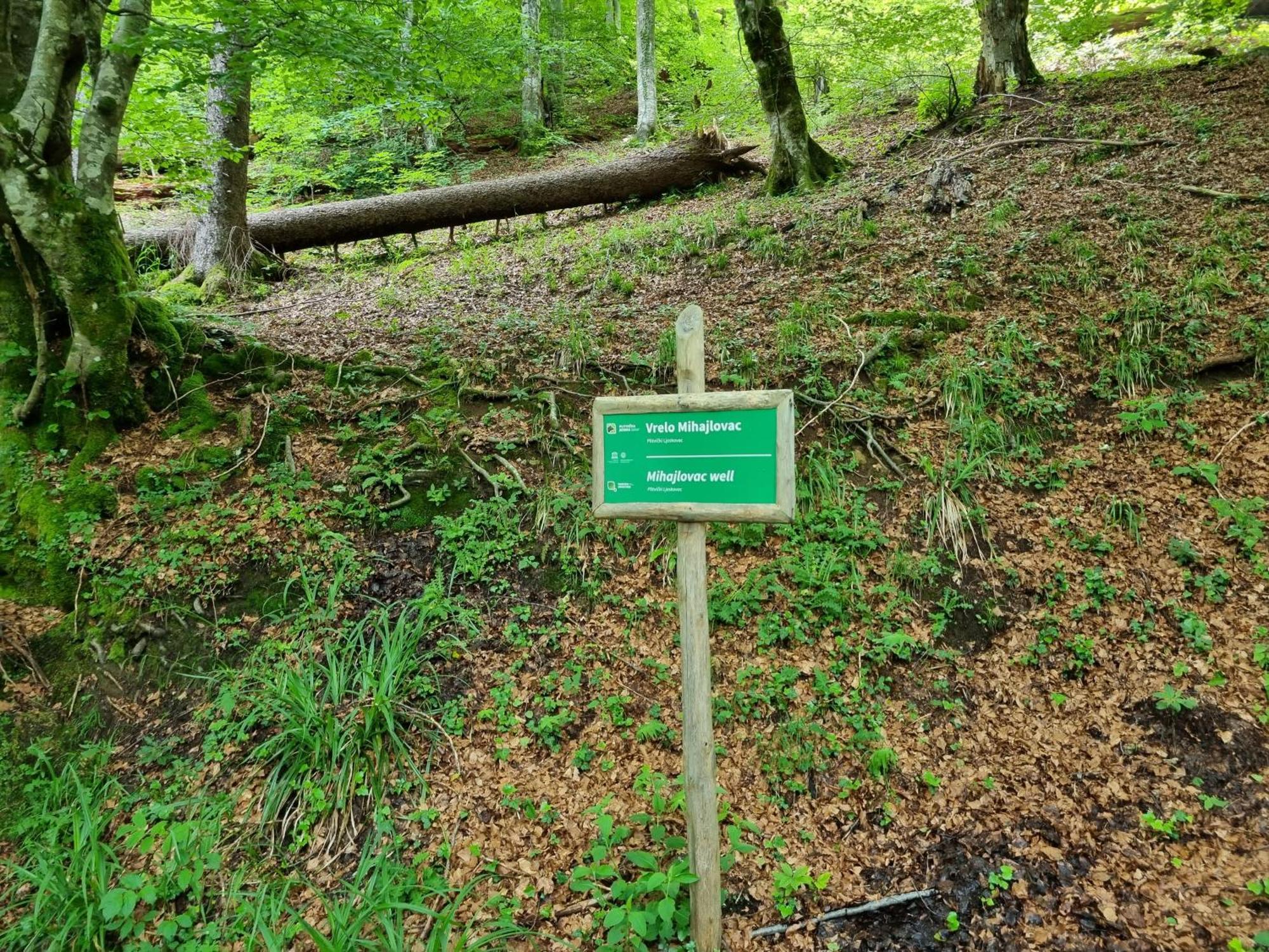 Villa Lady Di Plitvice Vrhovine Екстериор снимка